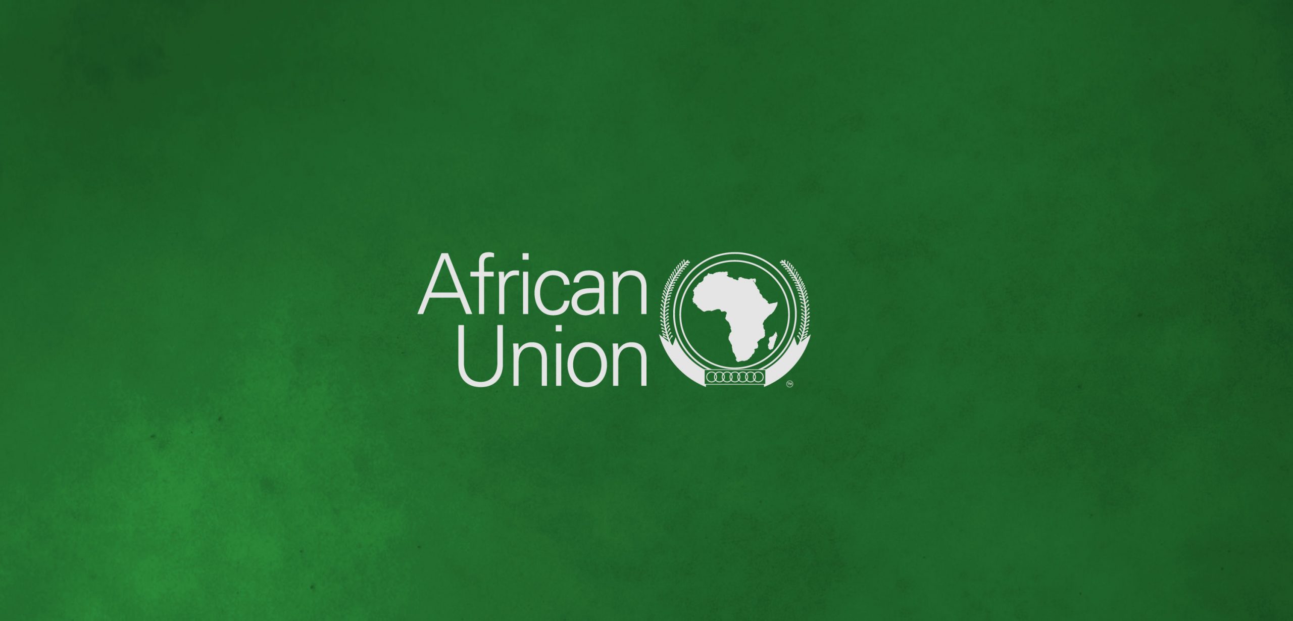 African Union calls for immediately cessation of hostilities in Libya