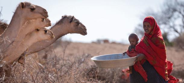 Horn of Africa faces 5th failed rainy season: WMO