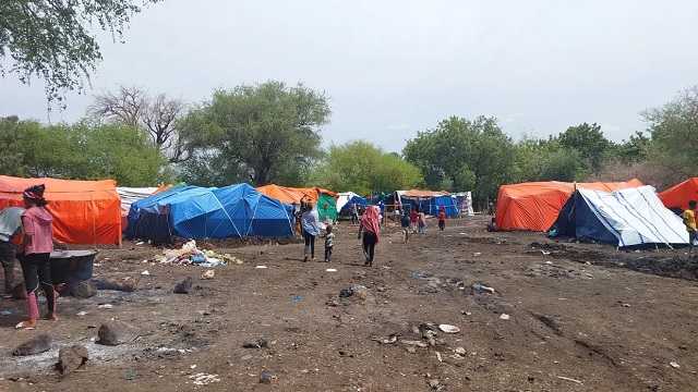 Makeshift shelters assembled by refugees and asylum seekers at Metema border point of entry, June 2023. Photo credit: OCHA Ethiopia/ Yosef Zegeye