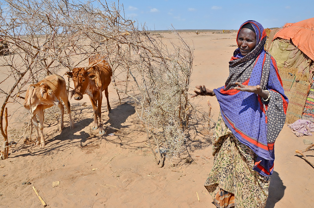 (File photo from WFP)